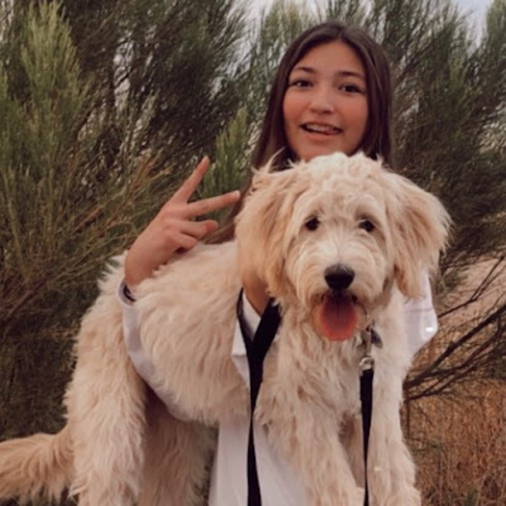 Meet your Posher, Alyssa